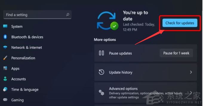 Win11顯卡驅動怎么升級？Win11更新顯卡驅動教程