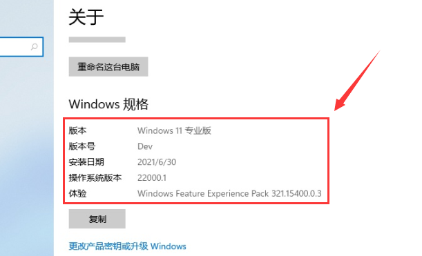 Win11系統如何查看自己的版號？Win11系統查看版號的方法