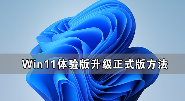 Win11體驗(yàn)版怎么升級(jí)正式版 Win11體驗(yàn)版升級(jí)正式版方法