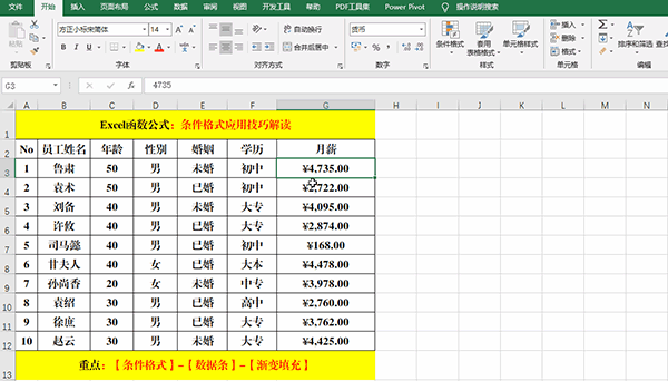 Excel 2019中使用條件格式分析數(shù)據(jù)的7類方法教學