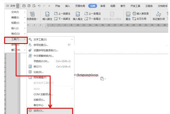 WPS/Word如何去除煩人的波浪線？兩步輕松去掉WPS/Word波浪線