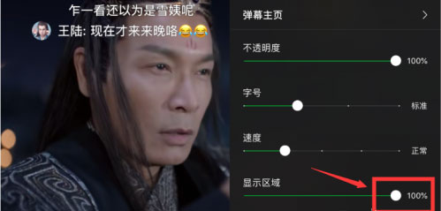 愛奇藝怎么設(shè)置彈幕顯示區(qū)域？6個(gè)步驟讓你輕松設(shè)置彈幕區(qū)域！