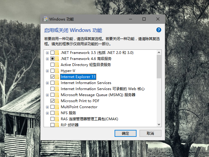 Win10默認設置里有兩個edge怎么解決？