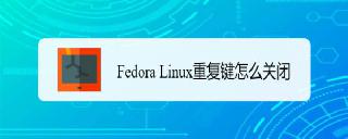 Fedora怎么關(guān)閉重復(fù)鍵? Linux重復(fù)建的關(guān)閉方法