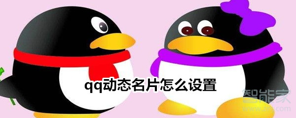 qq動態(tài)名片怎么設(shè)置
