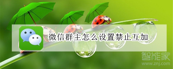 微信群主怎么設(shè)置禁止互加