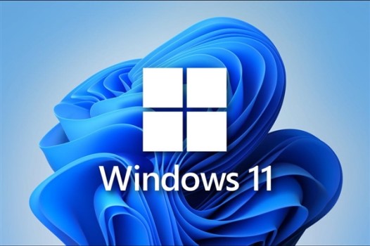Win11不能參加預(yù)覽體驗計劃怎么辦？Win11不能參加預(yù)覽體驗計劃解決方法