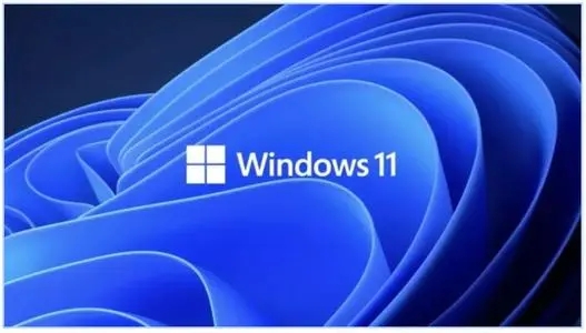 Win11更新完出現閃屏怎么解決？Win11閃屏解決方法