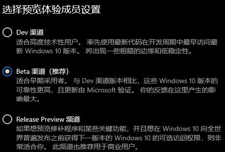 Win11預(yù)覽體驗(yàn)成員設(shè)置選項(xiàng)怎么選？Win11預(yù)覽體驗(yàn)成員設(shè)置選項(xiàng)介紹