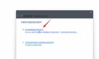 Win11鍵盤(pán)鼠標(biāo)失靈怎么辦？Win11鍵盤(pán)鼠標(biāo)失靈的解決方法