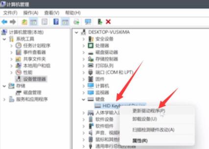 Win11鍵盤(pán)鼠標(biāo)失靈怎么辦？Win11鍵盤(pán)鼠標(biāo)失靈的解決方法