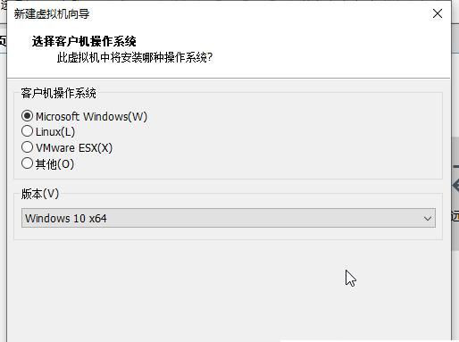 Win11系統(tǒng)怎么安裝到vm虛擬機(jī)詳細(xì)圖文教程
