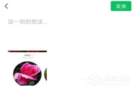 形色識(shí)花怎么分享到微信？形色識(shí)花怎么分享到微信的方法