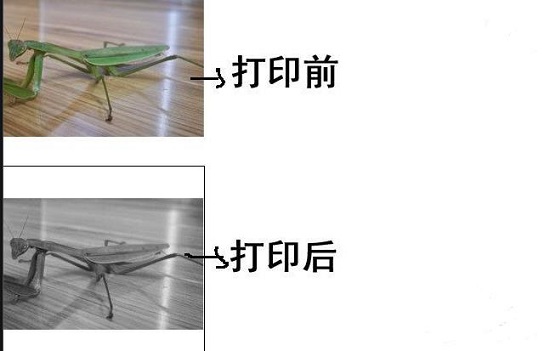 Win10打印圖片沒打印全怎么辦?