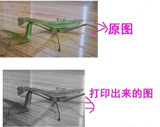 Win10打印圖片沒打印全怎么辦?