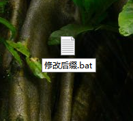 Win10電腦怎么修改文件的后綴名？Win10電腦修改文件后綴名的方法