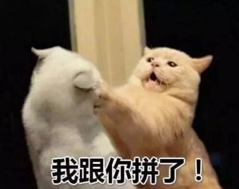 抖音新農合是什么意思？新農合干一架是什么梗