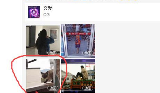 網(wǎng)易云音樂(lè)gif動(dòng)圖怎么下載保存？下載保存gif動(dòng)圖步驟分享