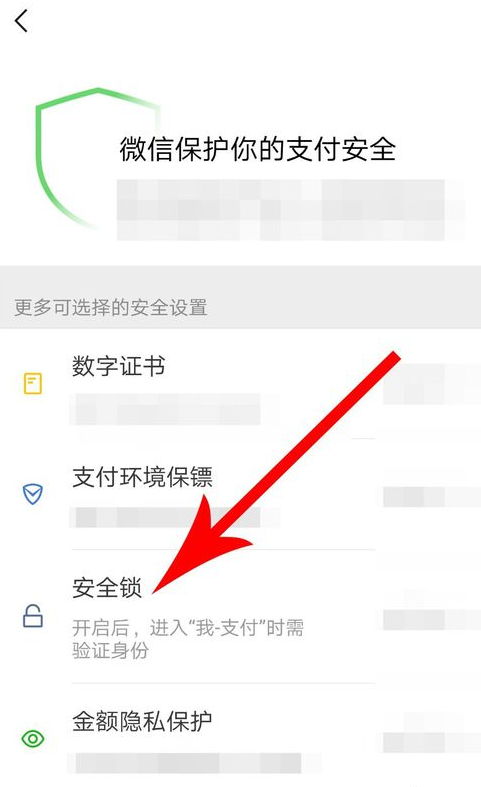 微信APP怎么設(shè)置支付安全鎖?設(shè)置支付安全鎖方法講解