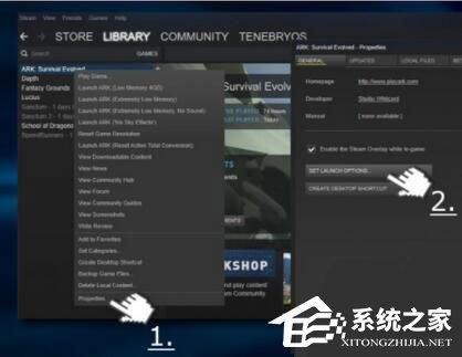 Win10玩生存進化報錯“視頻驅動程序崩潰并被重置”怎么解決？