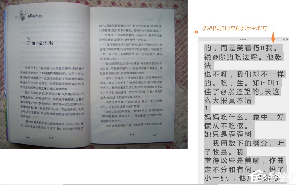 Win10系統如何利用OneNote將圖片轉換文字？