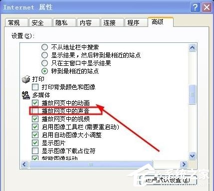 WinXP系統電腦網頁沒有聲音怎么解決？