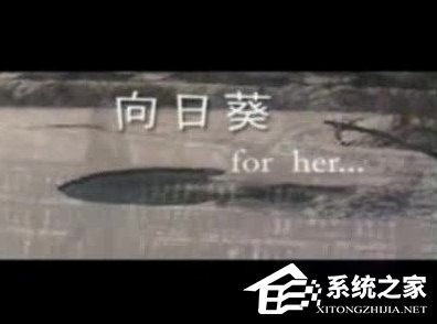 WinXP系統(tǒng)怎么打開(kāi)DAT格式文件？