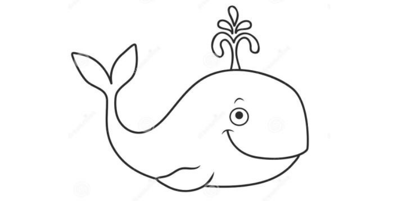 qq畫(huà)圖紅包鯨魚(yú)怎么畫(huà)？QQ畫(huà)圖紅包所有圖案畫(huà)法匯總
