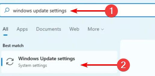 Win11沒(méi)有聲音是怎么回事 Win11沒(méi)有聲音原因及解決方法介紹