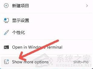 Win11右鍵菜單太大怎么辦？Win11右鍵菜單大小怎么調整
