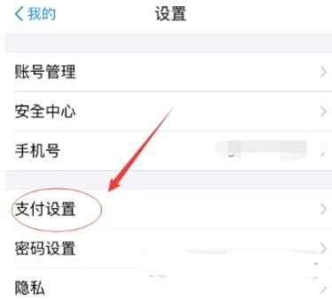 支付寶如何設(shè)置高德地圖免密支付？設(shè)置免密支付的方法說明