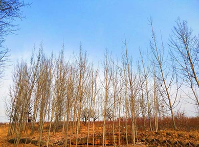 美圖秀秀怎么為圖片調(diào)色？為圖片調(diào)色的方法說明