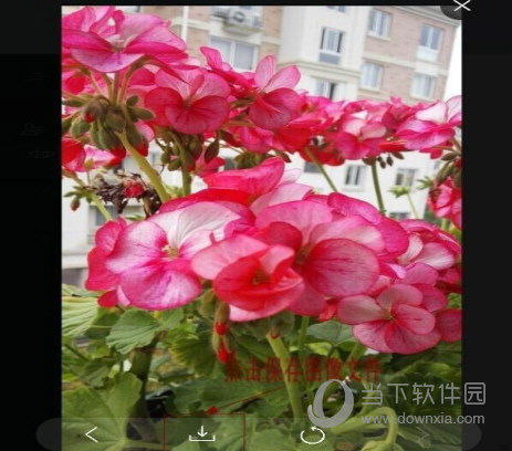 微信網(wǎng)頁版如何把手機(jī)圖片傳輸?shù)诫娔X上 傳輸方法分享
