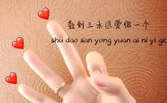 抖音手語表白手勢怎么做？手語表白圖片分享