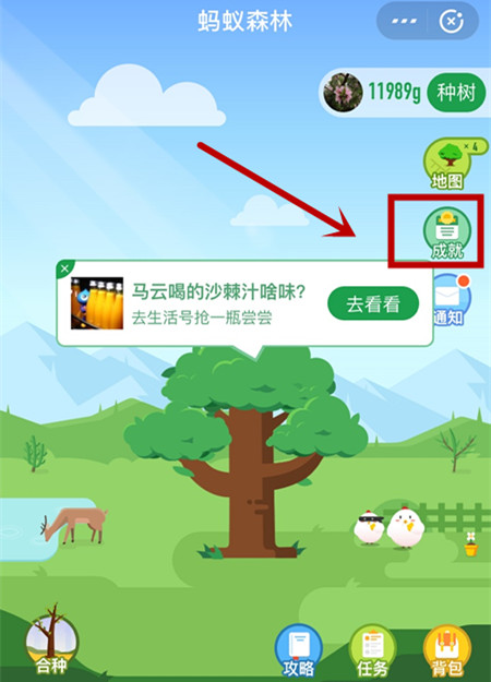 支付寶螞蟻森林領(lǐng)取國(guó)家發(fā)植樹證書詳細(xì)操作