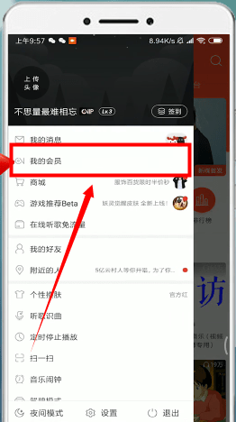 網(wǎng)易云音樂中將自動續(xù)費(fèi)取消操作步驟介紹