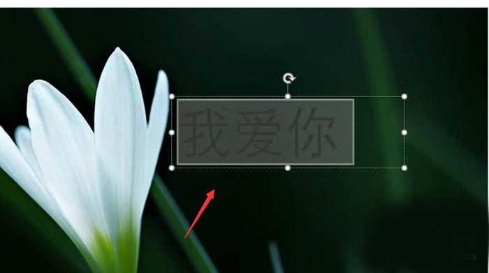 使用PPT制作出動(dòng)態(tài)文字的具體操作流程