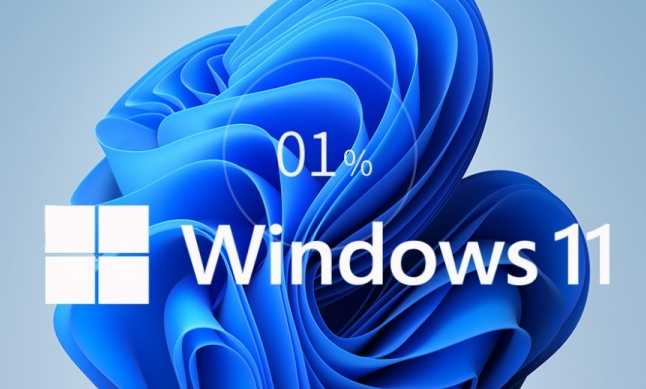 Windows11取消圖標(biāo)固定方法介紹