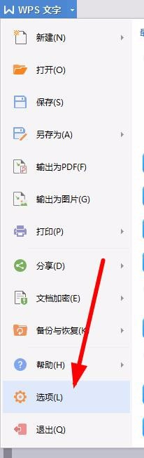 WPS設(shè)置禁止標(biāo)點(diǎn)符號在行首顯示具體操作流程