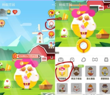 支付寶螞蟻莊園花唄套裝是什么？ 螞蟻莊園花唄套裝可以獲得紅包嗎？