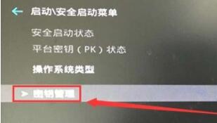 win11的安全啟動(dòng)打開教程