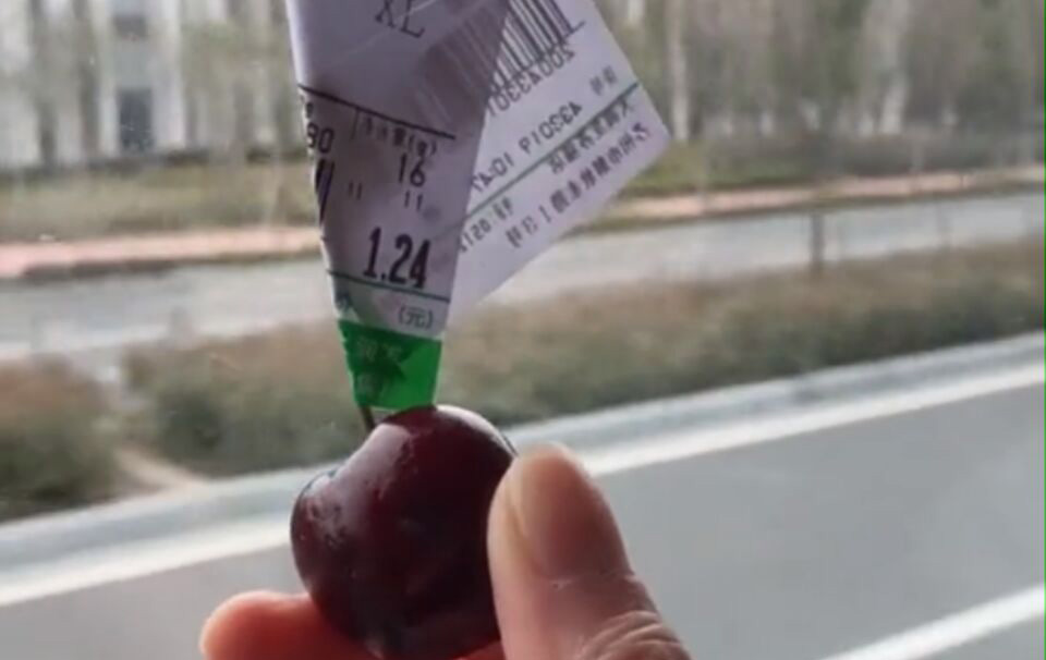 抖音車?yán)遄邮鞘裁垂＃慷兑糗嚴(yán)遄泳売山榻B！