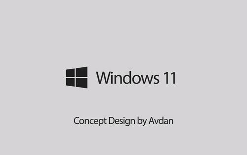 win11突然黑屏只有鼠標(biāo)的解決方法