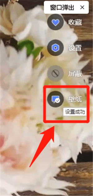 WPS中將畫(huà)報(bào)設(shè)置為壁紙具體操作流程