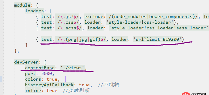 javascript - 請教大俠，webpack打包圖片的時候，頁面上顯示不出來，還有網站根目錄的疑問？