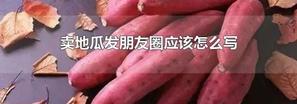 賣地瓜發(fā)朋友圈應(yīng)該怎么寫