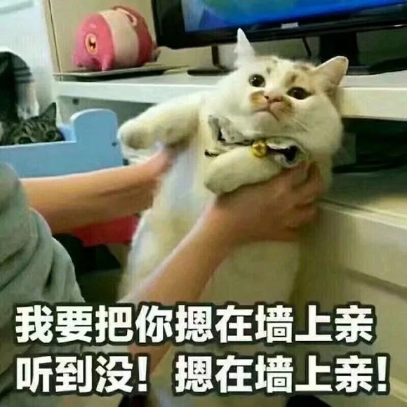 抖音我要把你摁在墻上親表情包是什么？抖音我要把你摁在墻上親表情包介紹！