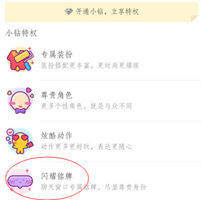 厘米秀小鉆銘牌什么樣子 QQ厘米秀小鉆的專(zhuān)屬銘牌怎么使用