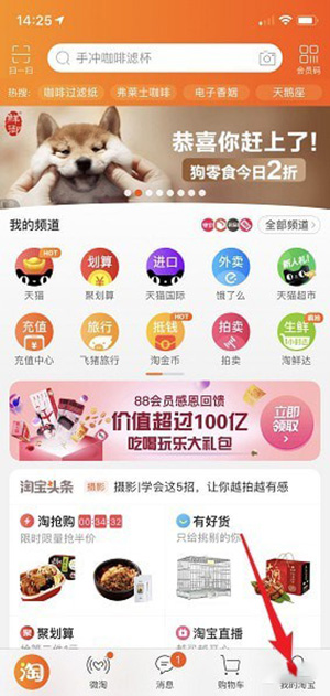 手機(jī)淘寶查看我的雙11戰(zhàn)績(jī)的具體操作步驟