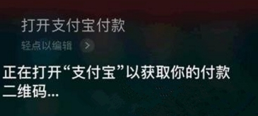支付寶App怎么使用語(yǔ)音支付_詳細(xì)操作步驟